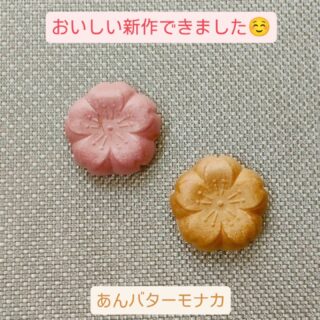 さくら小町の新作
「あんバターモナカ」が出来ました。

ピンクと焦がしの2つセットで販売いたします。
さくら小町らしく
桜型のモナカとなっております。

①ピンクのモナカ
ピンクのほうは、モナカ種（皮の部分）に桜葉を練り込んでおり、ほんのり桜の香りがする一品

②焦がしモナカ
モナカ種は定番の焦がしを入れており、
モナカ好きの方にご満足いただける一品

どちらも中身はあんバターとなっております。

おいしさにこだわって作りましたので、
完成するまでにかなり時間がかかってしまいましたが、自信の一品となっておりますので、ぜひ一度ご賞味くださいませ。